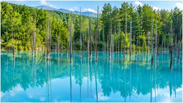 Shirogane Blue Pond and Shirahige Falls