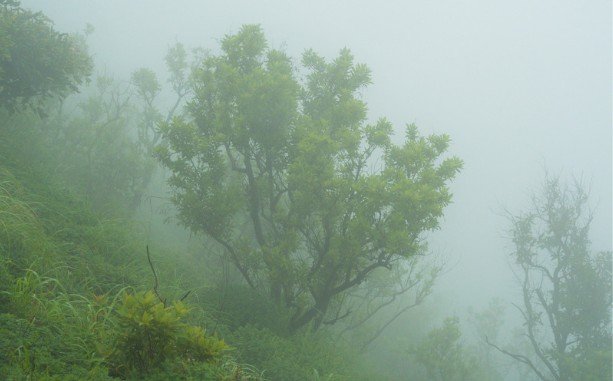 Understand Asias Different Rainy Seasons