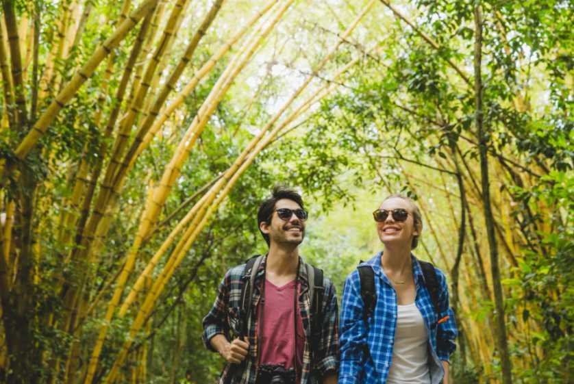 Best Outdoor Activities in Chiang Mai for Nature Lovers Wild Escapes Beyond the City