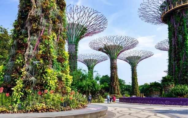 Choose a Garden Morning or Outdoor Escape