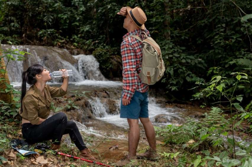 Is Elephant Nature Park Worth Visiting for Wildlife Lovers