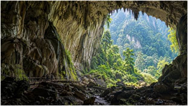Gunung Mulu National Park: Caverns, Pinnacles, and the Bat Exodus