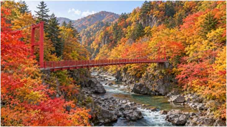 Soaking in Steamy Thermal Springs: Scenic Onsen Towns
