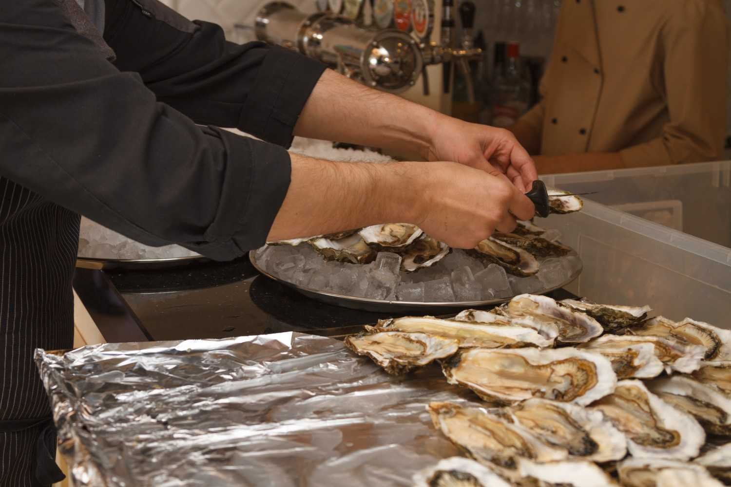 When Is the Best Time to Plan an Oyster Trail Trip?